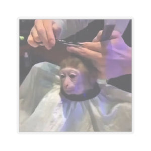 Monkey Haircut Stickers